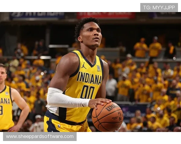 KY体育地址正式公布，最新赛事信息及现场观赛指南全方位解析