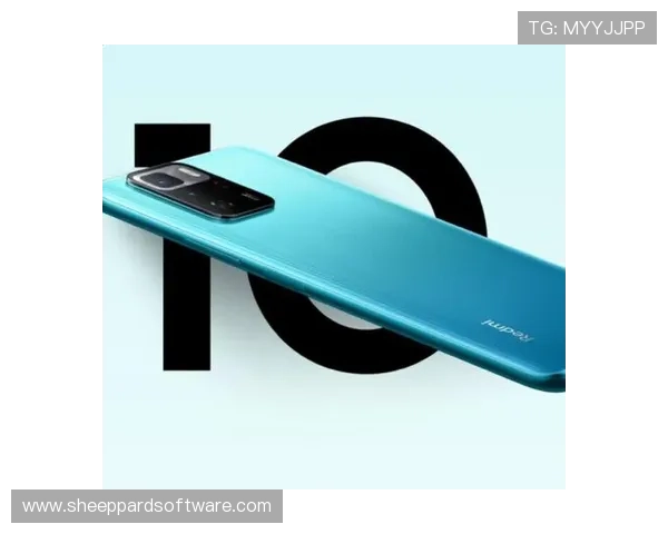 博鱼体育平台登录线路安全性分析与保障措施全面介绍